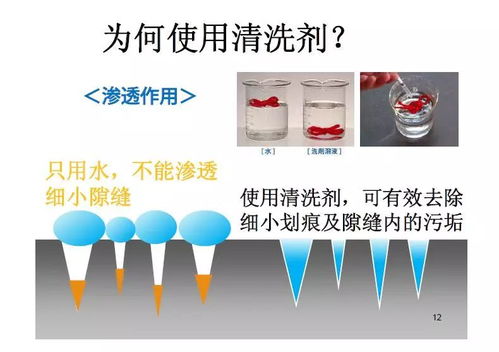 食品工廠清洗的重要性與電子產品互聯(lián)網(wǎng)銷售的協(xié)同發(fā)展